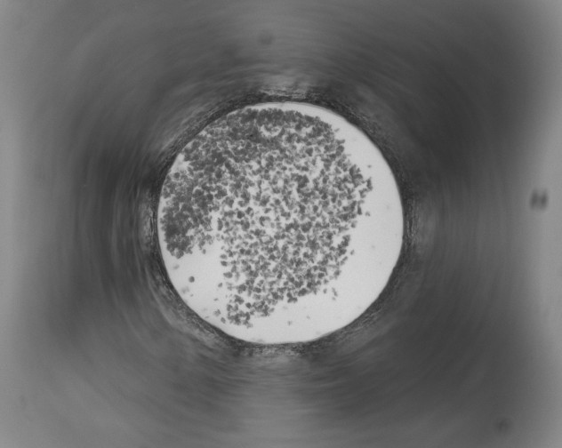 X0000114021154200911131220