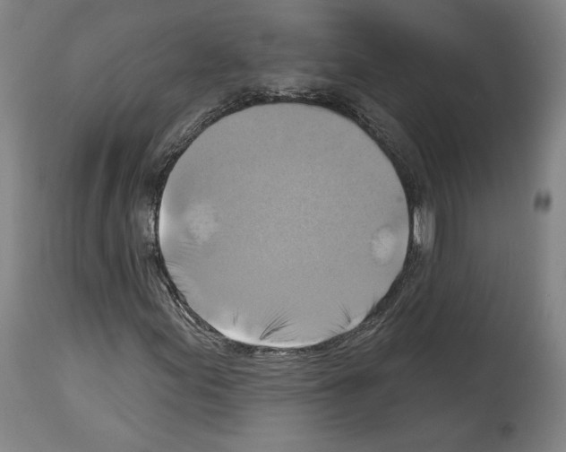 X0000114021155200911131220