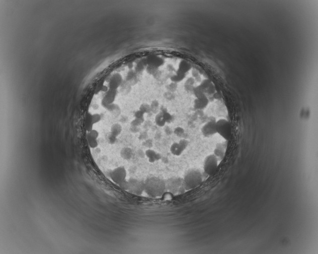 X0000114021159200911131220