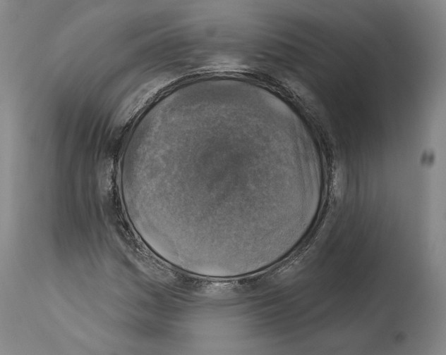 X0000114021161200911131220