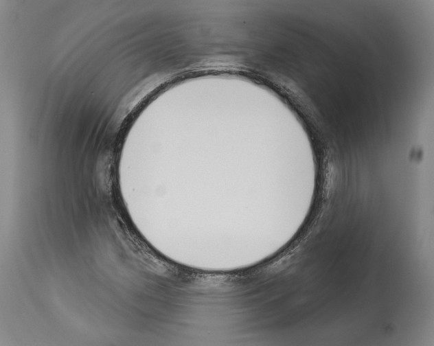 X0000114021162200911131220