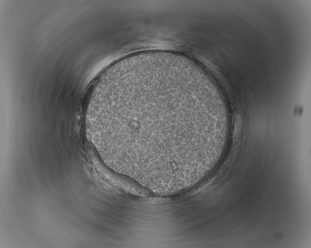 X0000114021163200911131220