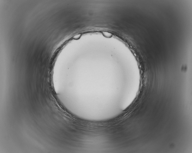 X0000114021165200911131220