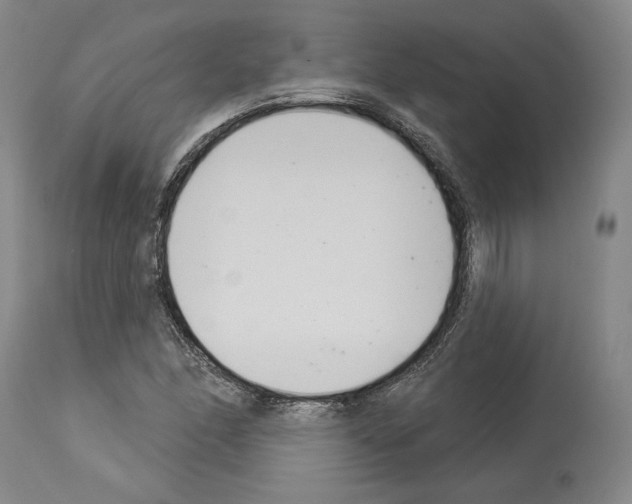 X0000114021166200911131220