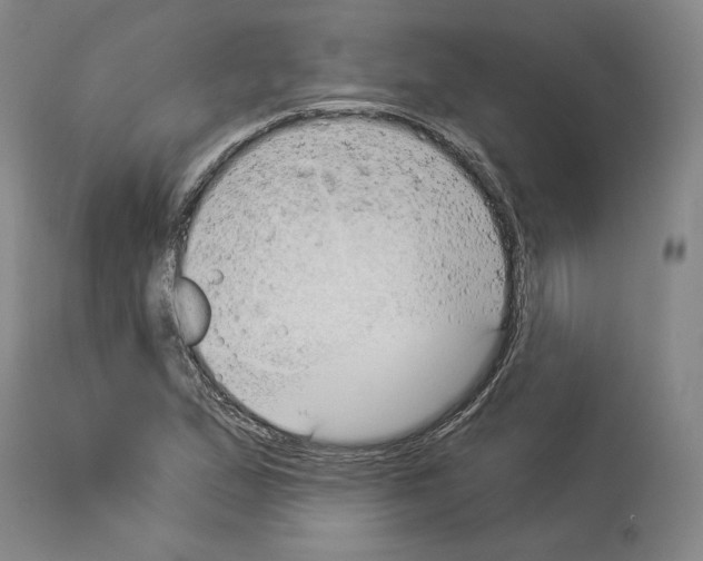 X0000114021167200911131220