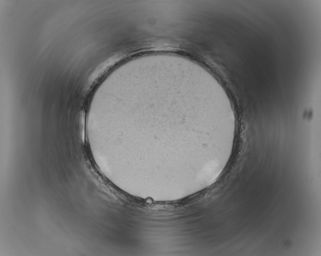 X0000114021171200911131220