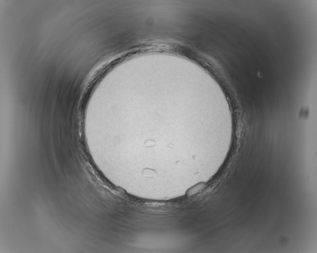 X0000114021172200911131220