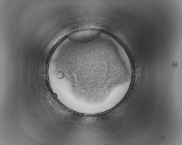 X0000114021173200911131220