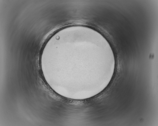 X0000114021174200911131220