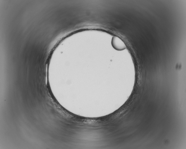 X0000114021175200911131220