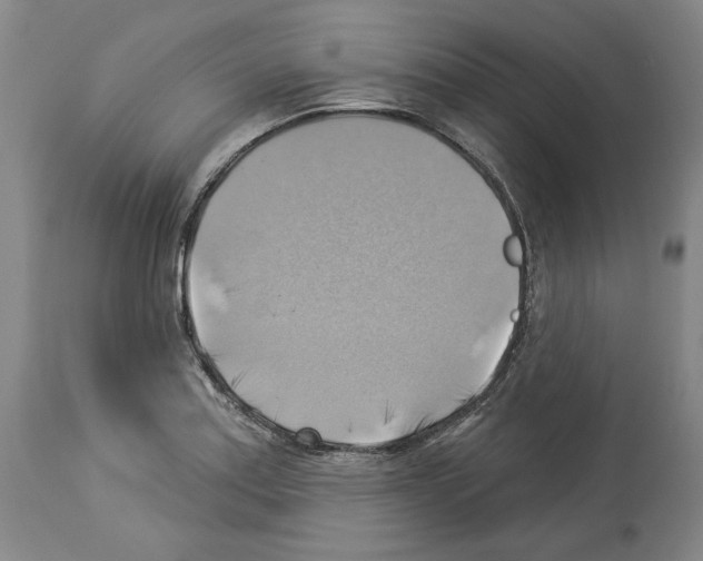 X0000114021179200911131220