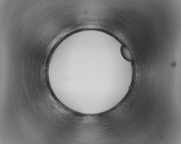 X0000114021181200911131220