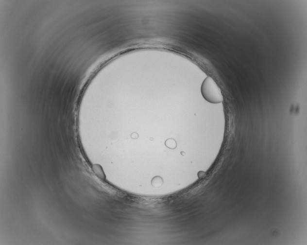 X0000114021184200911131220