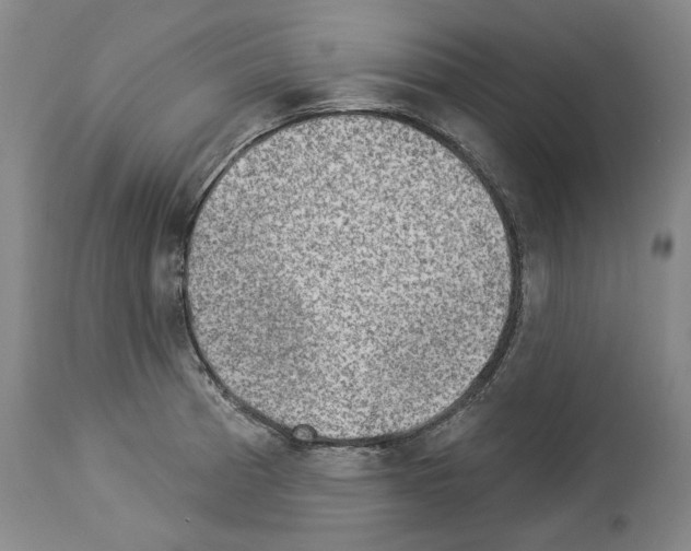 X0000114021185200911131220