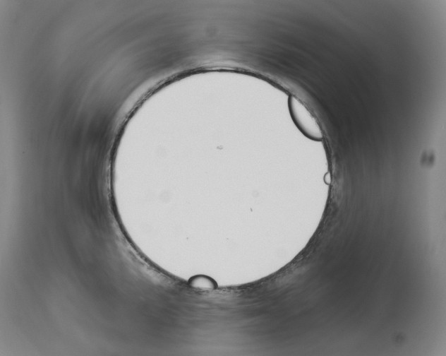 X0000114021191200911131220