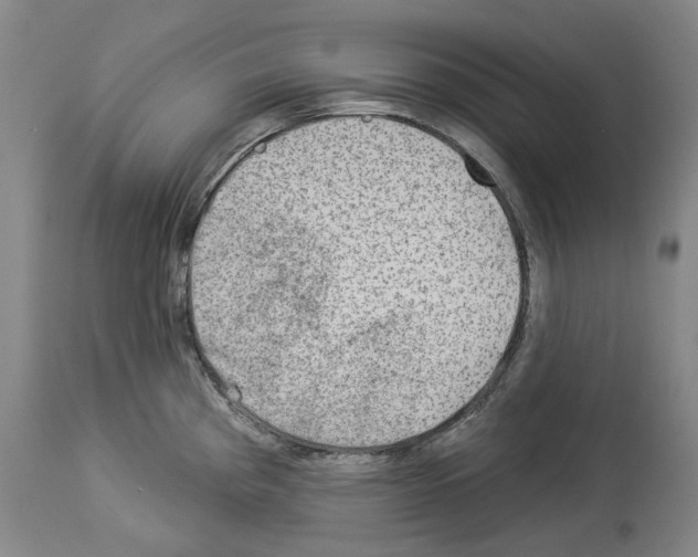 X0000114021193200911131220