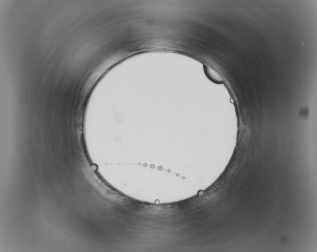 X0000114021195200911131220