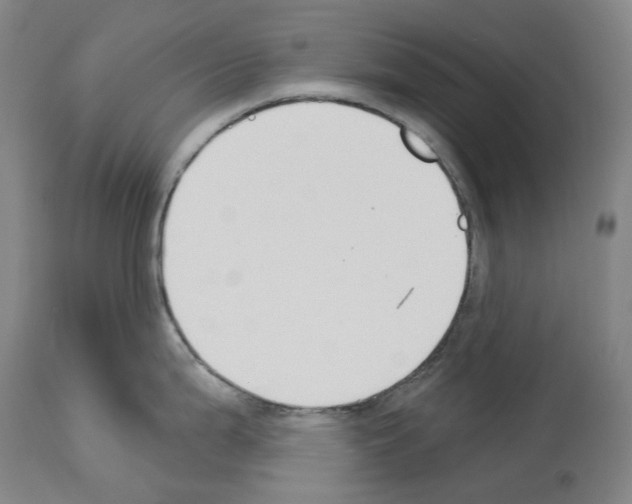 X0000114021199200911131219