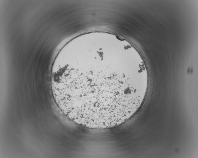 X0000114021200200911131219