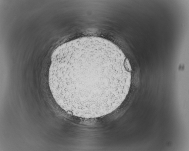 X0000114021201200911131219