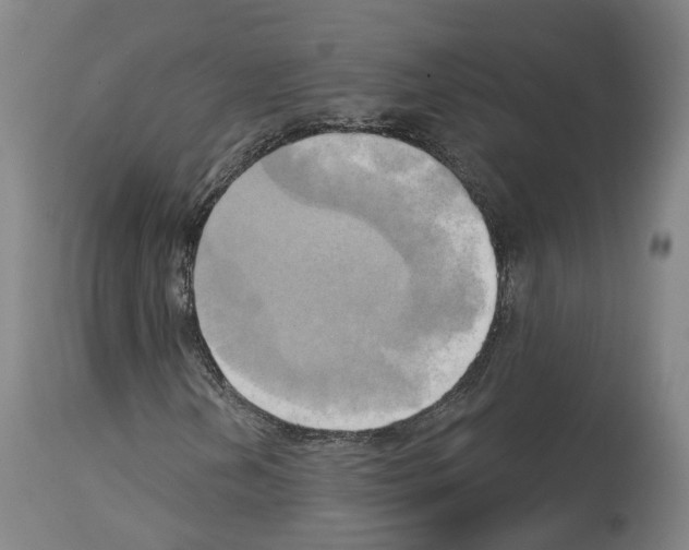 X0000114021202200911131219