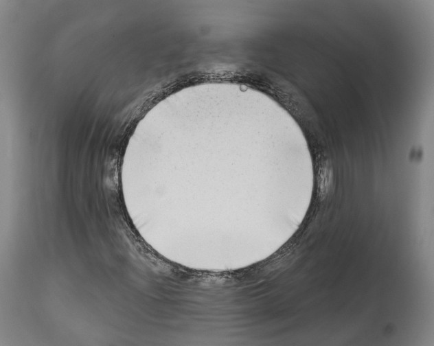 X0000114021204200911131219