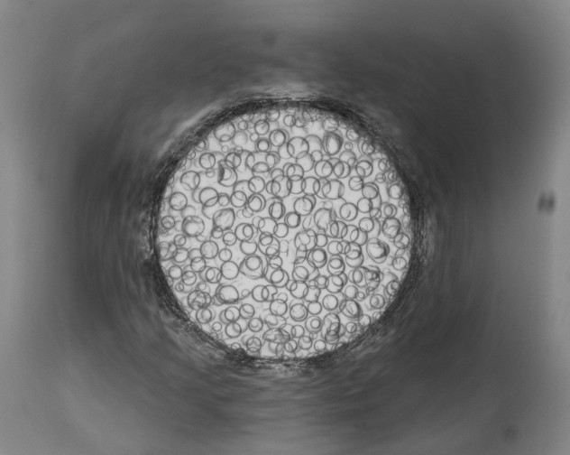 X0000114021205200911131219