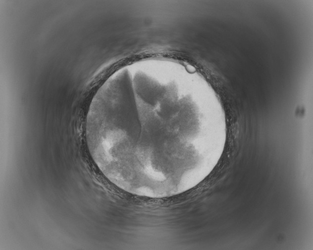 X0000114021206200911131219