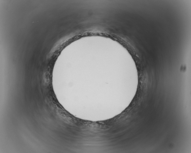 X0000114021207200911131219