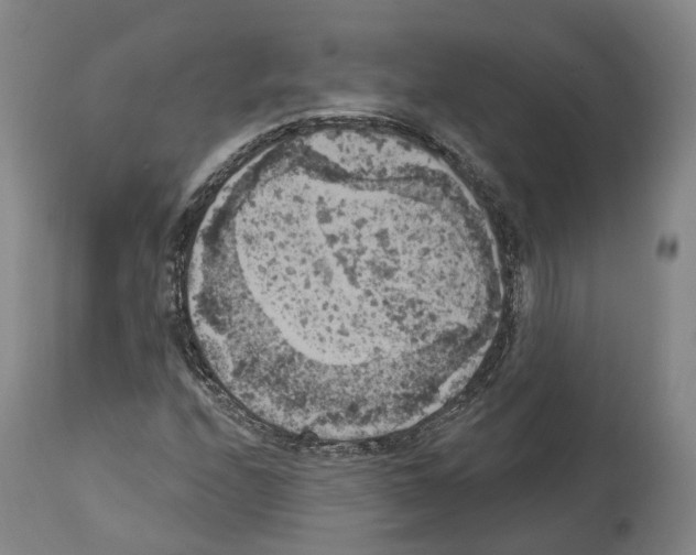 X0000114021208200911131219