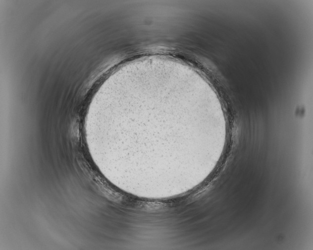 X0000114021209200911131219