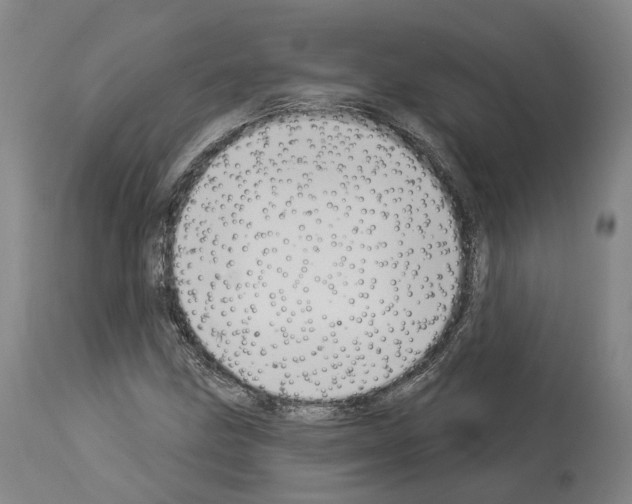 X0000114021211200911131219