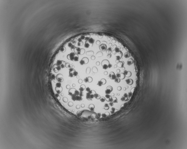 X0000114021212200911131219