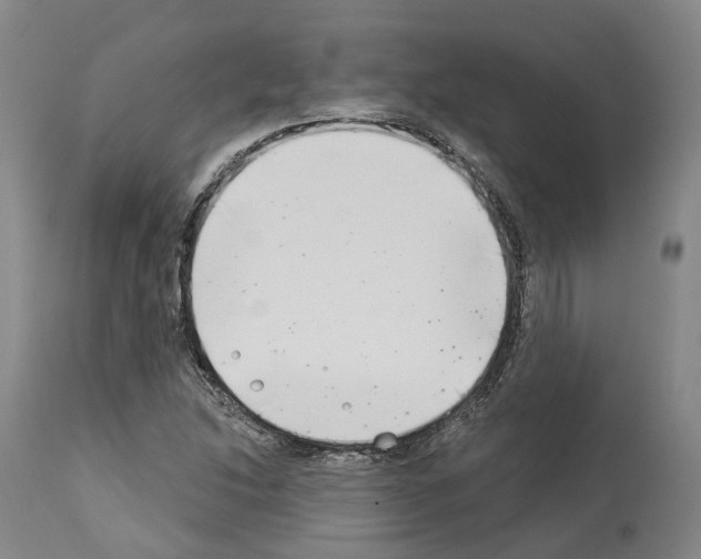 X0000114021214200911131219