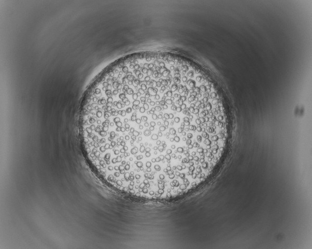 X0000114021216200911131219