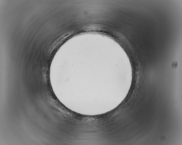 X0000114021217200911131219