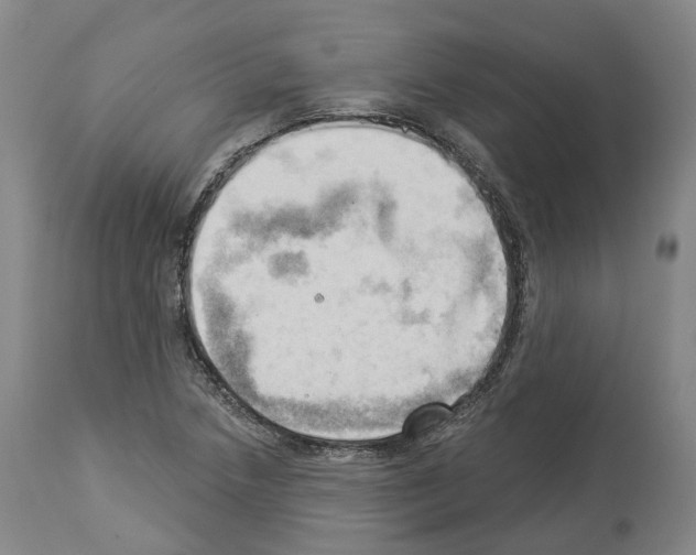 X0000114021218200911131219