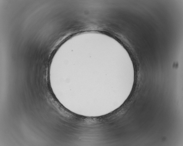 X0000114021220200911131219