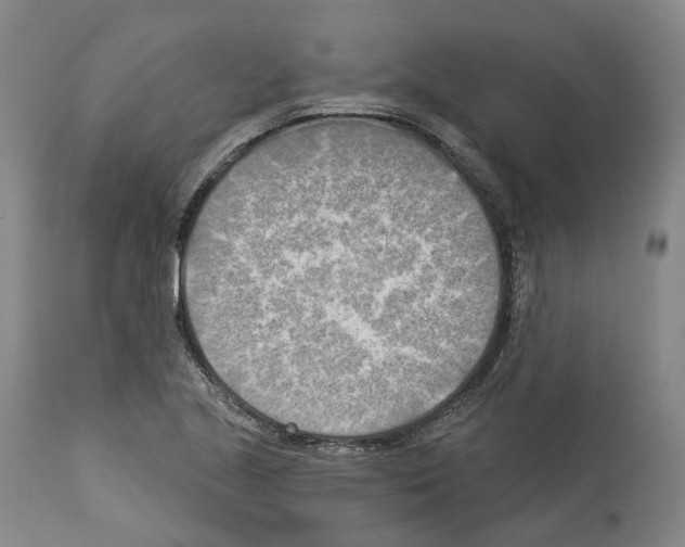 X0000114021221200911131219