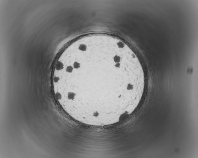 X0000114021222200911131219