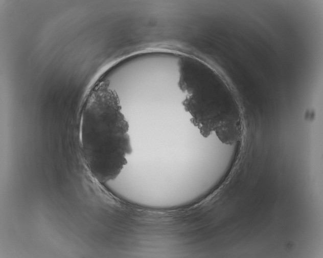 X0000114021224200911131219