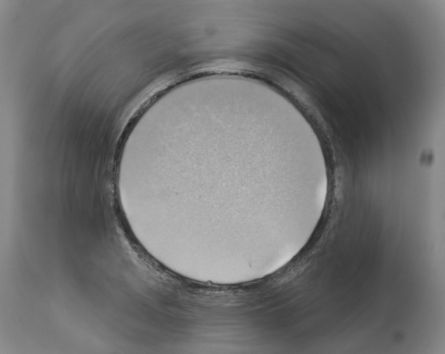 X0000114021229200911131219