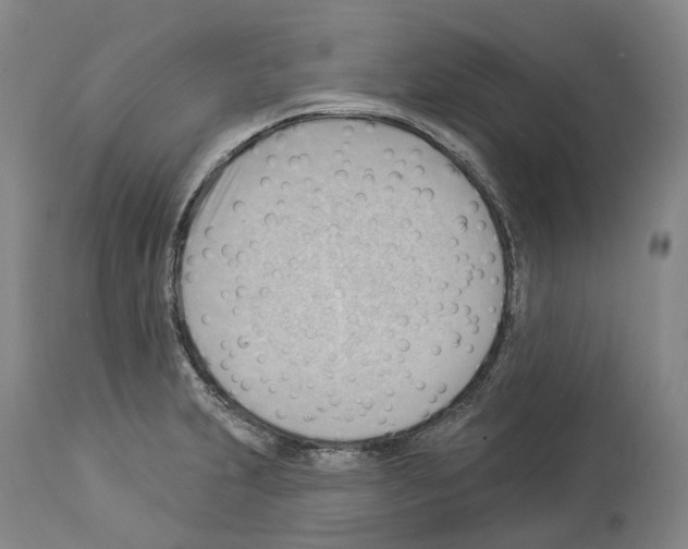 X0000114021231200911131219