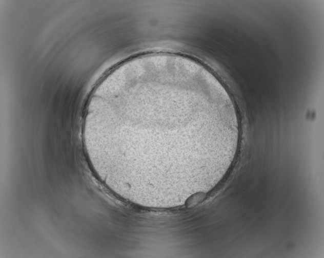 X0000114021232200911131219