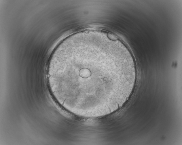 X0000114021235200911131219