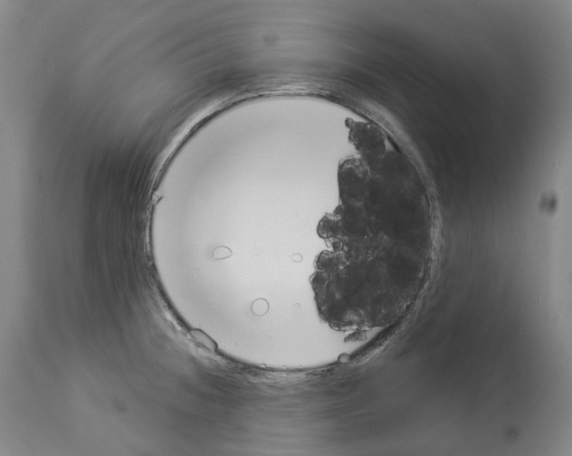 X0000114021236200911131219