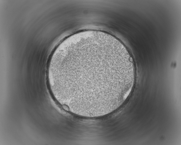 X0000114021237200911131219