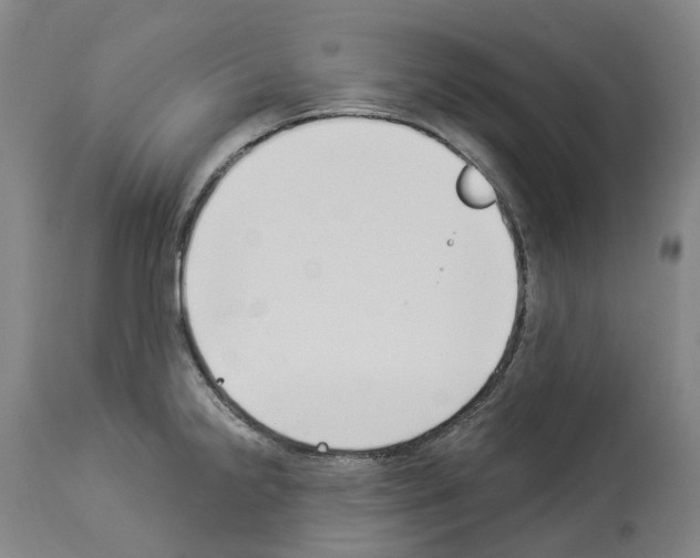 X0000114021238200911131219