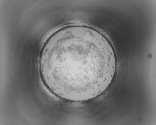 X0000114021239200911131219