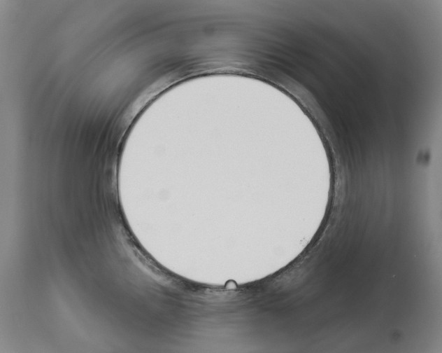 X0000114021242200911131219